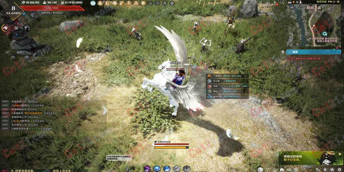 黑色沙漠3506人鱼女海盗真端虚拟机一键端|GM|工具|教程|Ver.6.4